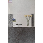 Gạch Ốp Tường 30X60 Long Hậu 3601