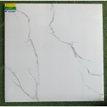 ĐÁ BÓNG KÍNH 60X60 PRIME DX6828