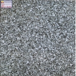 Gạch Bóng Kiếng Phủ Nano 60x60 Đanami 6601