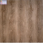 Gạch Men Bóng Kiếng 60x60 Long Hậu 6006