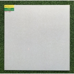 Gạch men bóng phủ nano 60x60 Celia 6007