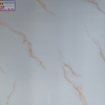 Gạch Bóng Kiếng 60x60 Hoàng Hà 695