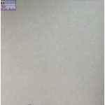 Gạch Men Bóng Kiếng 60x60 Long Hậu 6005