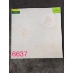 Gạch Bóng Kính 60X60 TASA 6637