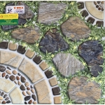 Gạch Sân Vườn 50x50 Hoàng Gia 502