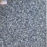 Gạch Bóng Kiếng Phủ Nano 60x60 Đônami 601