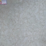 ĐÁ BÓNG KIẾNG 60X60 Á MỸ 655