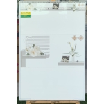 Gạch cao cấp ốp tường trang trí có hoa 30x60