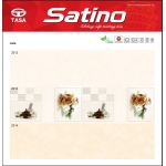 Gạch Ốp Men Bóng 30X60 Tasa Satino (4)