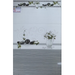 Gạch Ốp Tường 30X60 CMC 9224