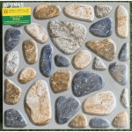 40X40 GẠCH LÁT SÂN VƯỜN HỌA TIẾT SỎI 45 