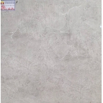 Gạch Bóng Kiếng 60x60 Tasa 6905