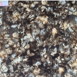 Đá Bóng Kiếng 80x80 CATALAN 8024