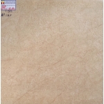 Gạch Bóng Kiếng 60x60 Hãng AHP  6006