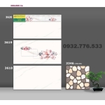 Bộ gạch 30x60 sang chảnh