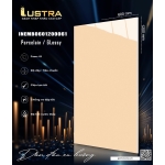 Gạch ốp tường 60x120 bóng kiếng hàng nhập khẩu Ấn Độ