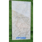 Gạch khổ lớn 60x120 ánh kim bóng kiếng cao cấp tại quận 1