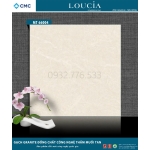 Gạch 60x60 granite đồng chất