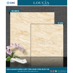 Gạch 60x60 granite đồng chất công nghệ muối tan