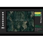 Gạch 80x120 màu xanh NAPOLI sang trọng tại Trảng Bàng - Tây Ninh