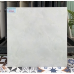 Gạch lát nền 60x60 sang trọng