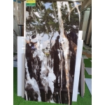 GẠCH ỐP LÁT CAO CẤP 60X120 