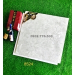Gạch ốp lát mặt tiền 80x80 mã 8524