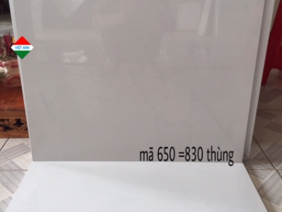 Việt Anh chuyên cung cấp gạch ốp tường 30x60 chất lượng giá rẻ  