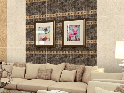 Cơ sở nào chuyên nhập và bán các dòng gạch ốp tường 30x60 tại Tiền Giang