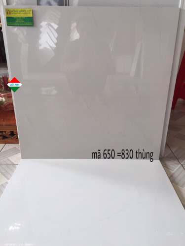 gạch bóng kiếng 60x60