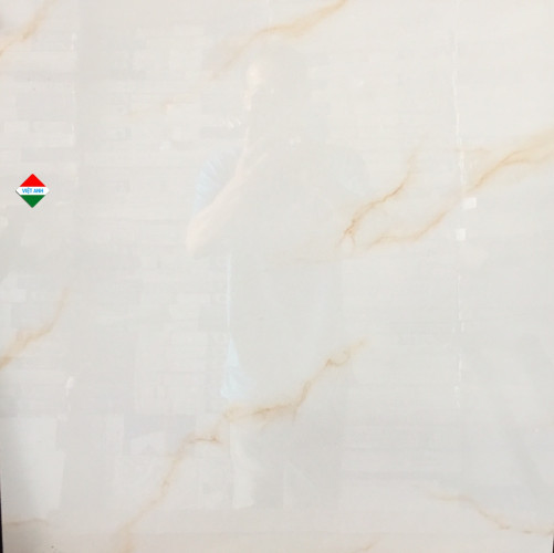 gạch bóng kiếng Long An