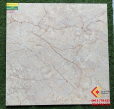 Gạch Lát Nền 80x80 Viglacera 8856
