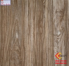 ĐÁ BÓNG KIẾNG 60X60 Á MỸ 660
