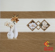 Gạch Ốp Tường 30X60 CMC 9221
