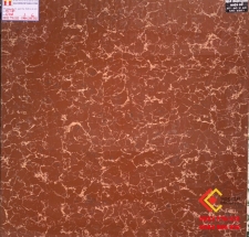 ĐÁ BÓNG KIẾNG 60X60 TRUNG QUỐC 6201