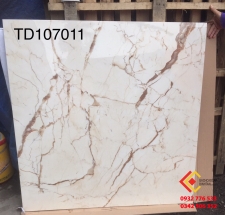 ĐÁ BÓNG KIẾNG 100X100 TRUNG QUỐC TD107011