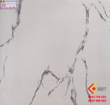 ĐÁ BÓNG KIẾNG 60X60 TRUNG QUỐC 66001