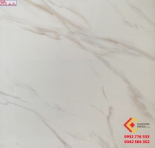 ĐÁ BÓNG KIẾNG 80X80 TRUNG QUỐC 88002