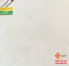 Gạch Men Bóng 50X50 Pak VH5002