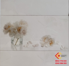 Gạch Ốp Tường 30X60 Hoàng Gia 4113