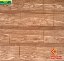 Gạch Men Bóng 50X50 Pak 5065