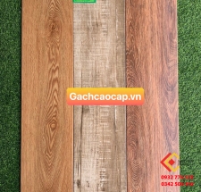 Gạch giả gỗ 20x100 nhập khẩu Trung Quốc