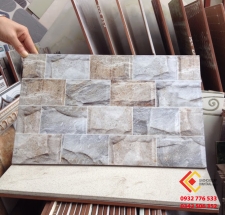 GẠCH TRANG TRÍ 25x40 (3)