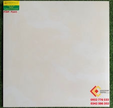 GẠCH ĐÁ MỜ 60X60 BẠCH MÃ  M6003