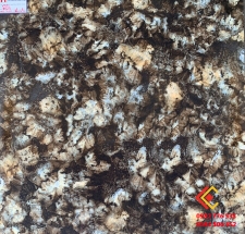 Đá Bóng Kiếng 80x80 CATALAN 8024