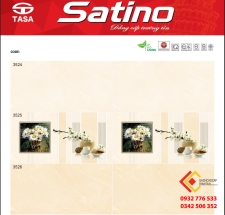 Gạch Ốp Men Bóng 30X60 Tasa Satino (6)