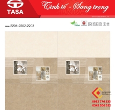 Gạch Ốp Men Bóng 30X60 Tasa Satino (7)