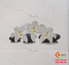 Gạch Ốp Tường 30X60 Á MỸ 3673