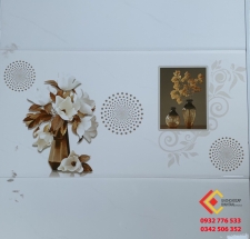 Gạch Ốp Tường 30X60 CMC 9215