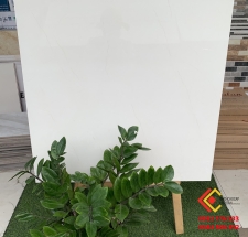 Gạch bóng kiếng giá rẻ 80x80 màu trắng